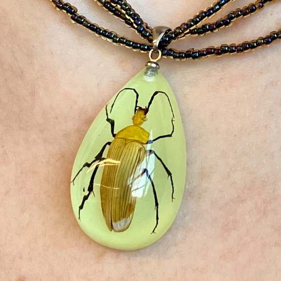 Real Beetle Necklace - vintage - glow in the dark. - Picture 3 of 4